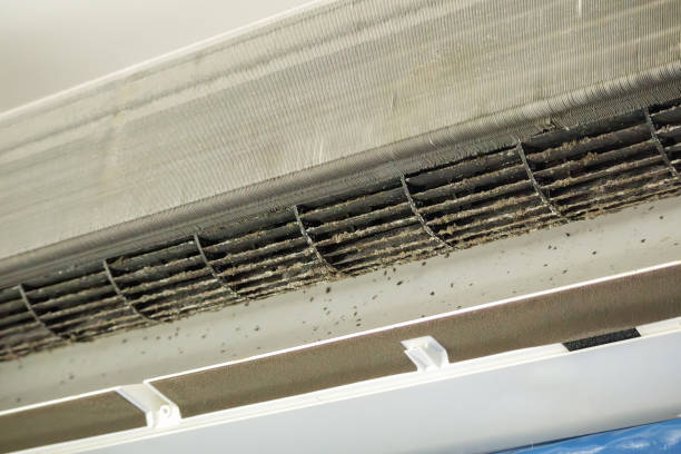 Best Best Air Duct Cleaning Company  in Tidmore Bend, AL